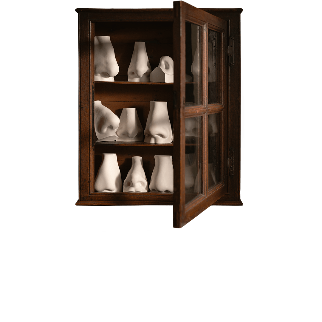 A timber cabinet filled with sculptures of human noses.