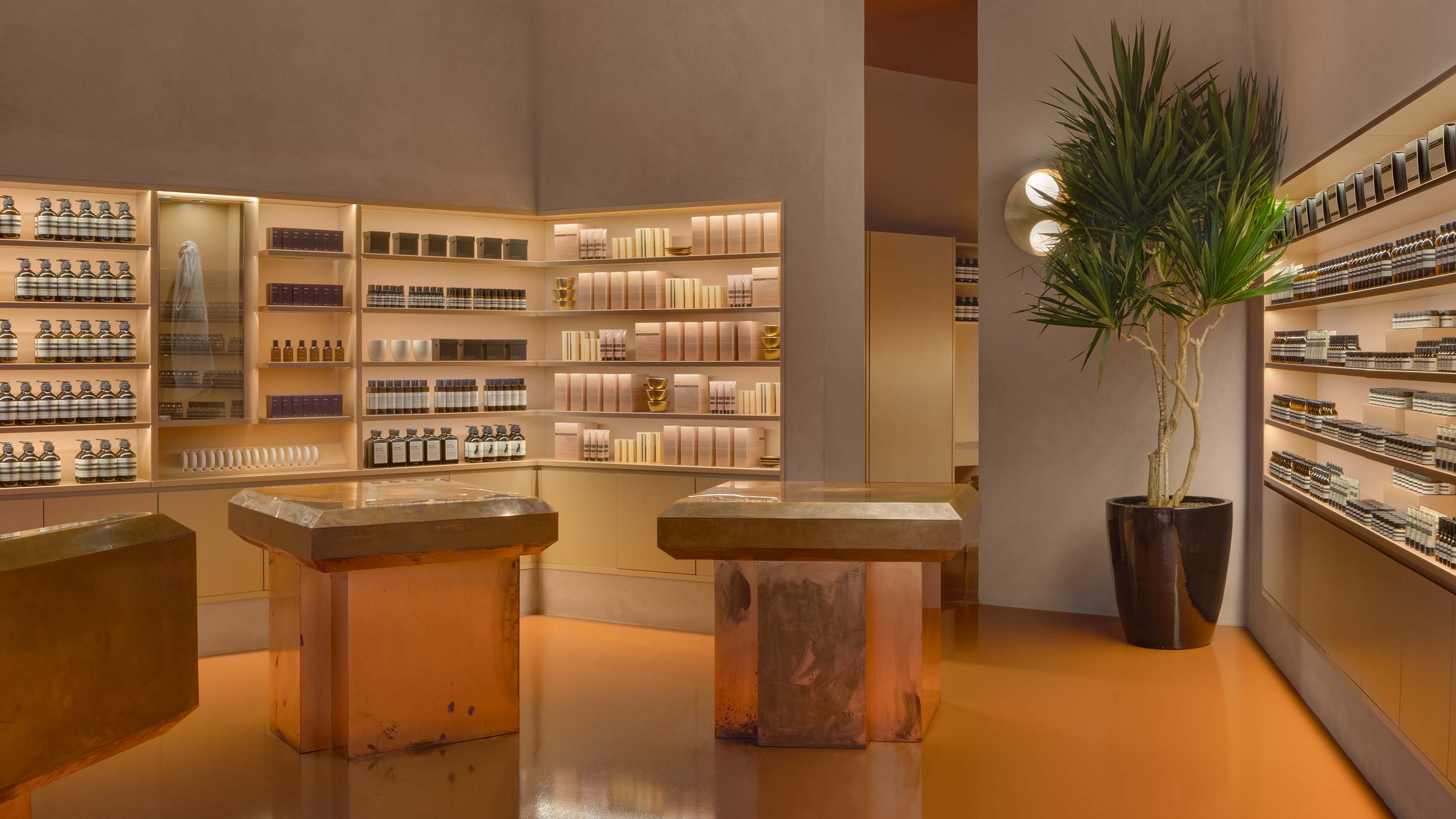 store interior featuring shiny brown floor, white walls lined with product, multiple basins in the foreground, and a potted palm tree