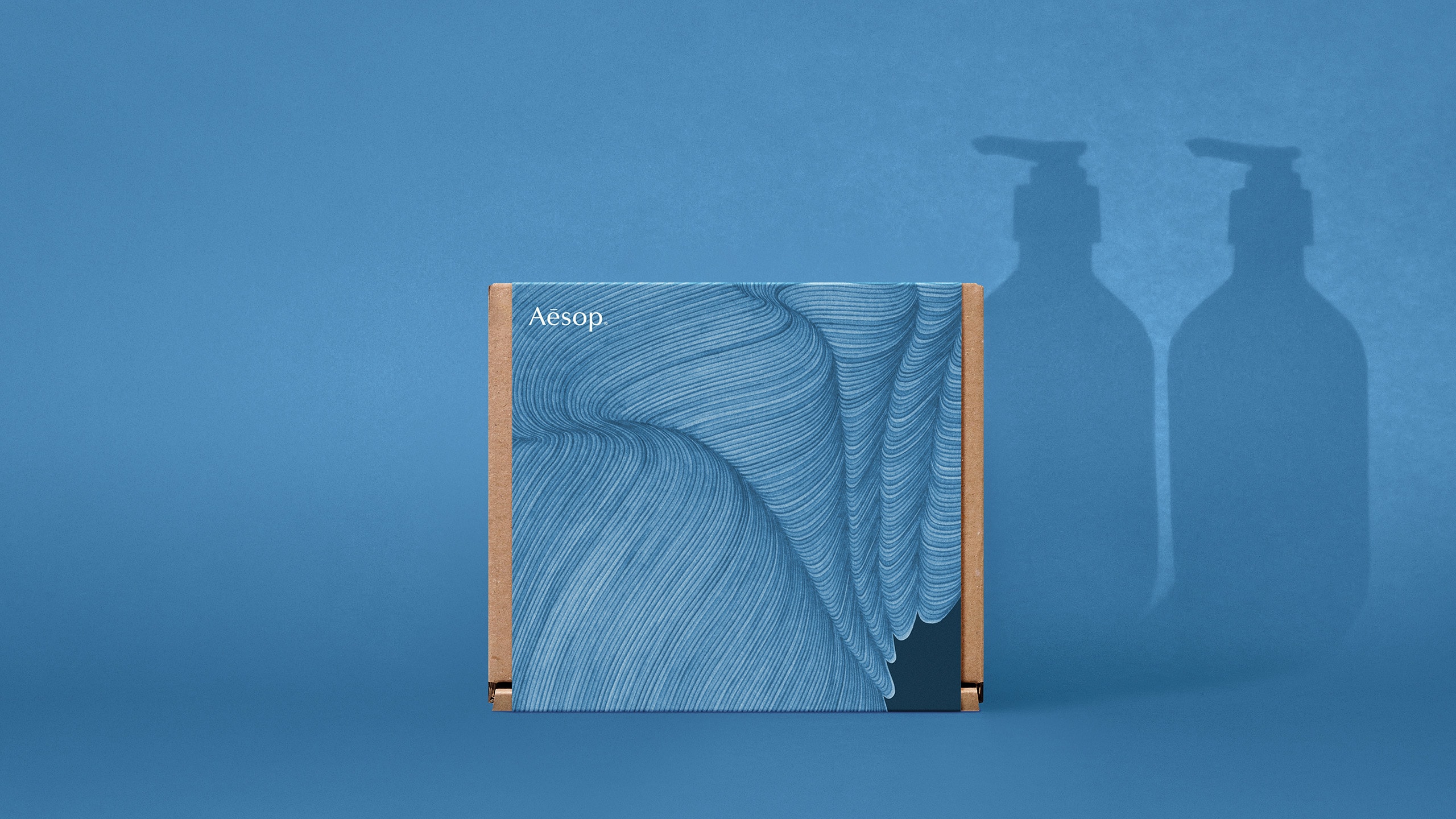 Aesop gratitude sleeve with product silhouette at the background