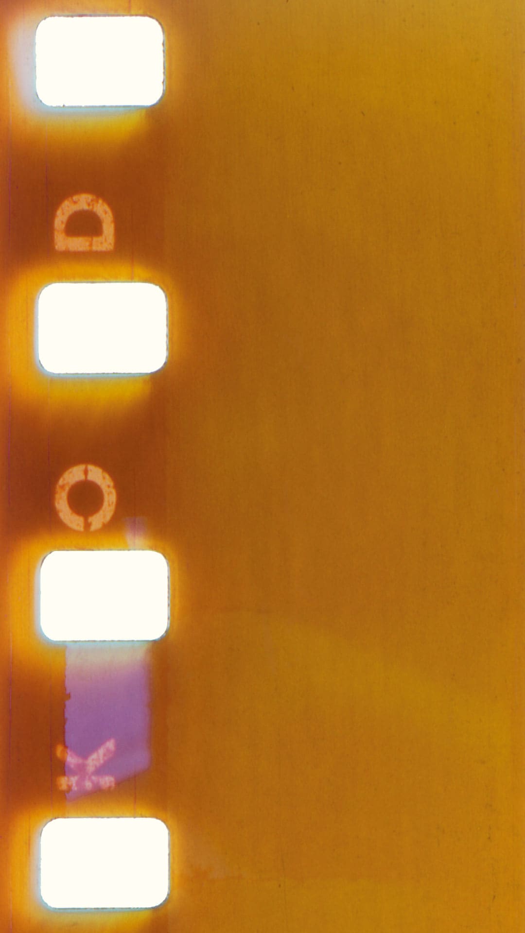 Scan of film negative.
