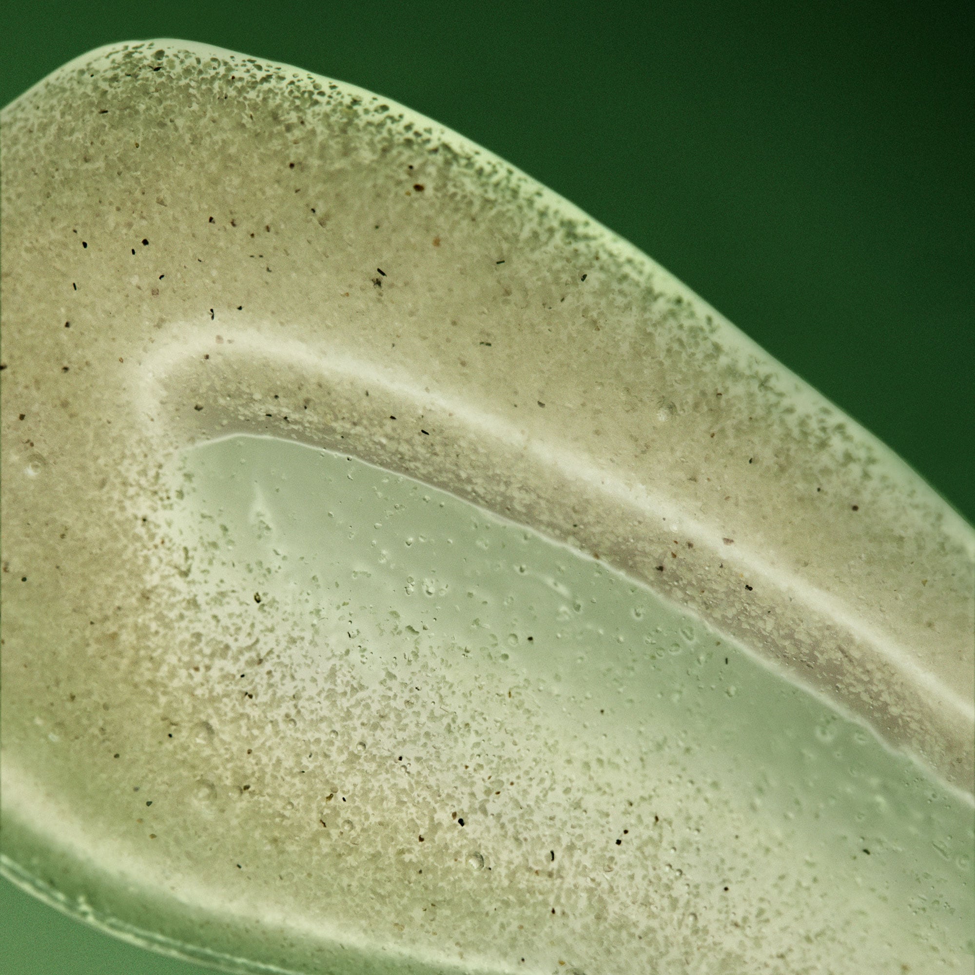 Aesop Geranium Leaf Body Scrub (Tube) 170ml/5.7oz | USA