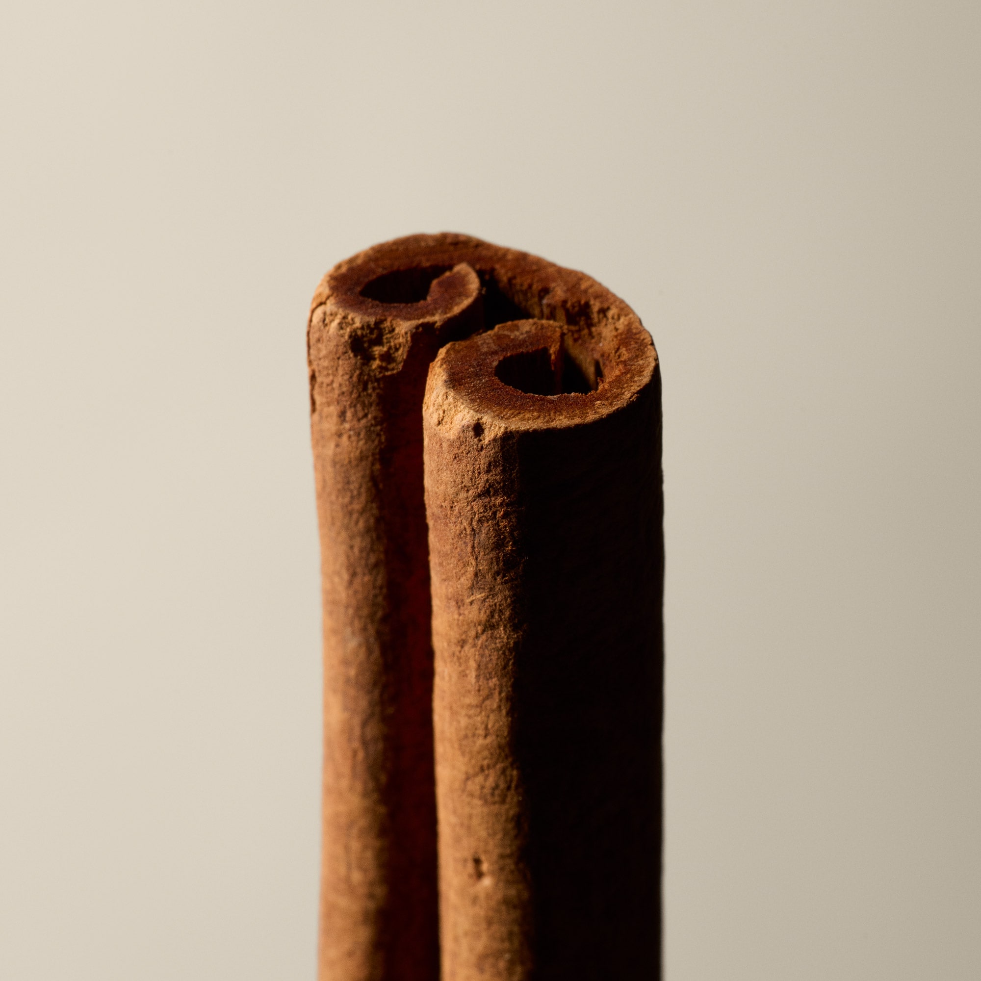 Sarashina Aromatique Incense | Sandalwood Incense | Aesop Norway