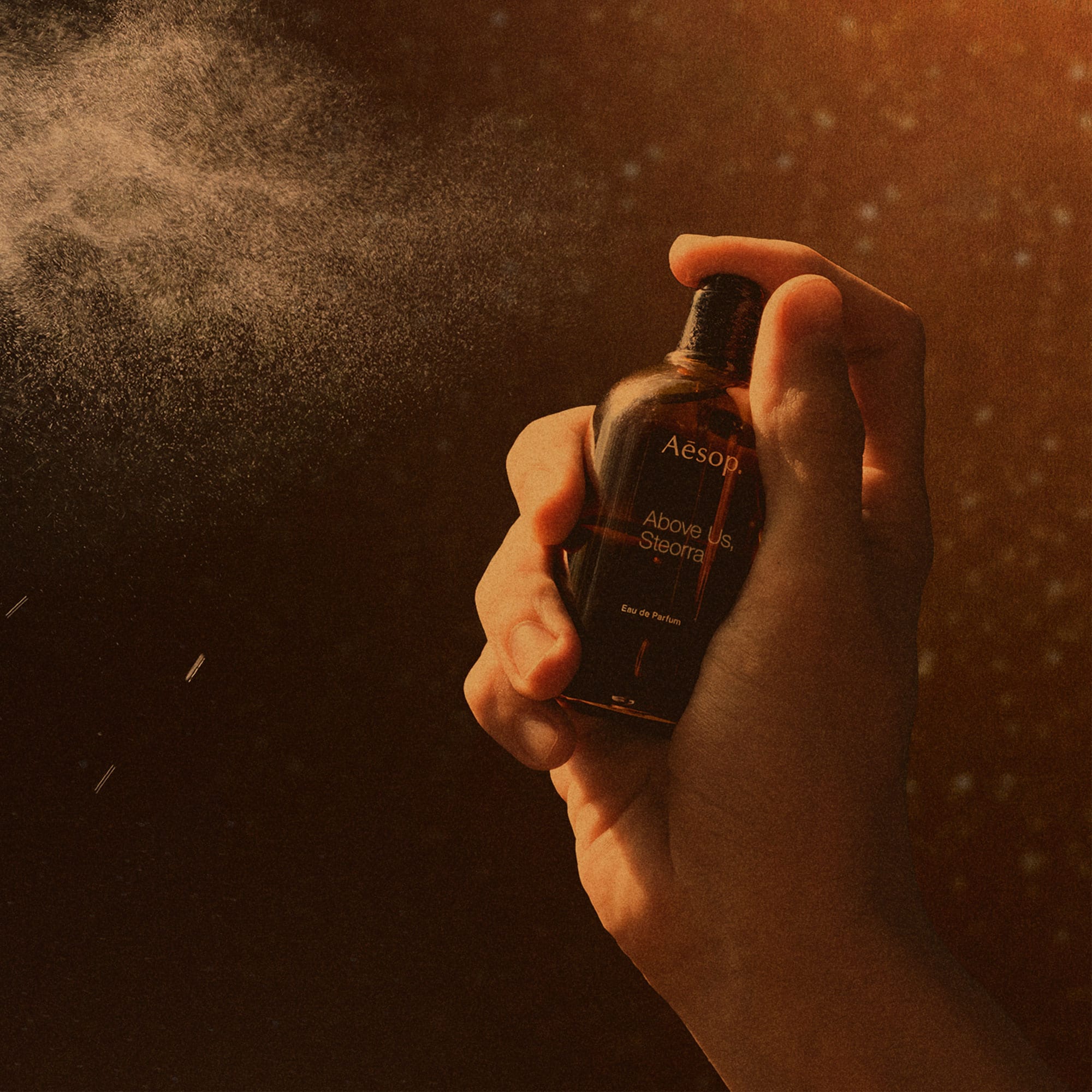 Above Us, Steorra Eau de Parfum | Aesop