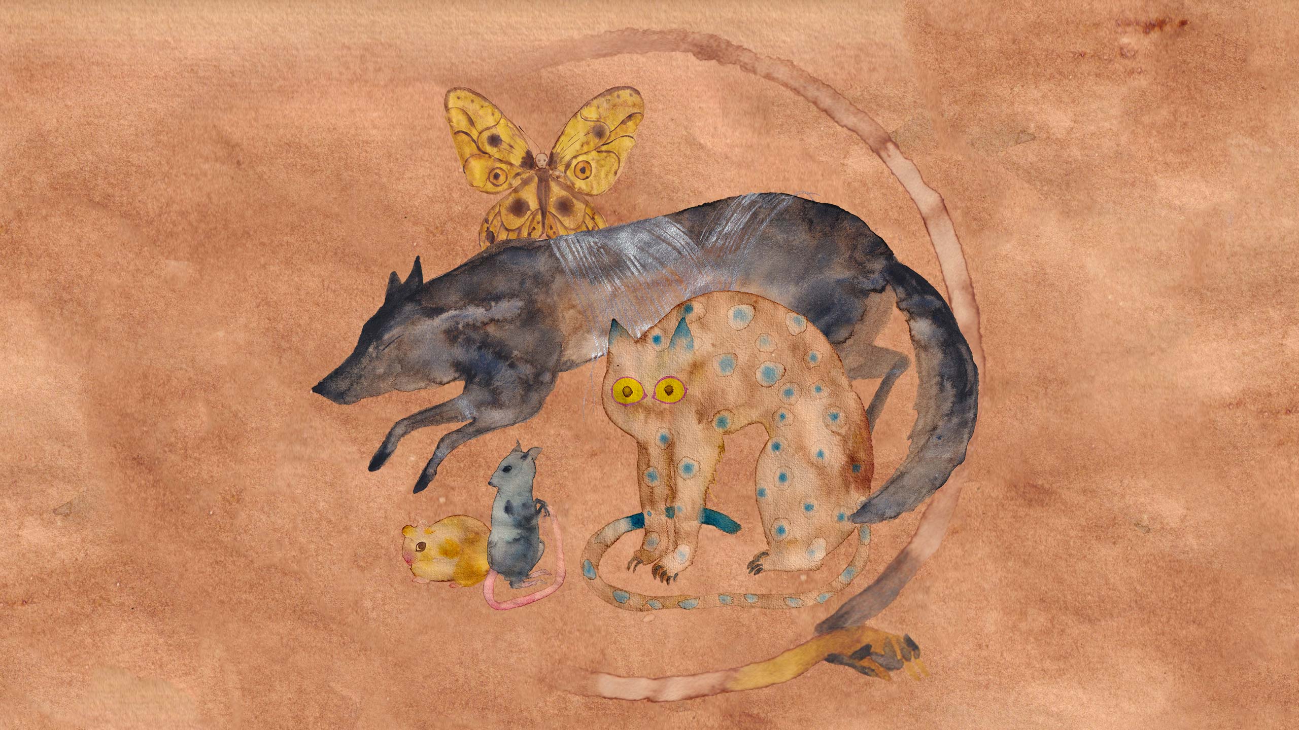 Watercolour illustration of various creatures.