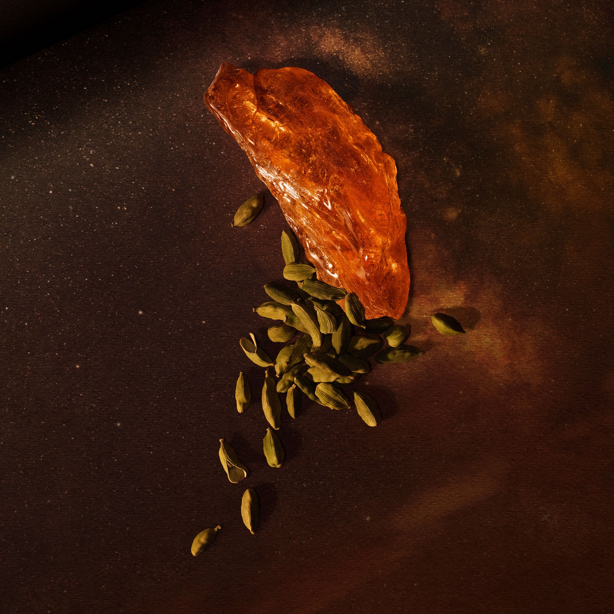 Above Us, Steorra Eau de Parfum | Aesop