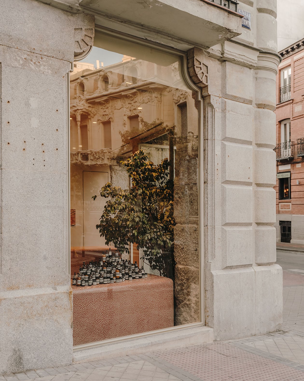 Aesop Fernando VI store window display.