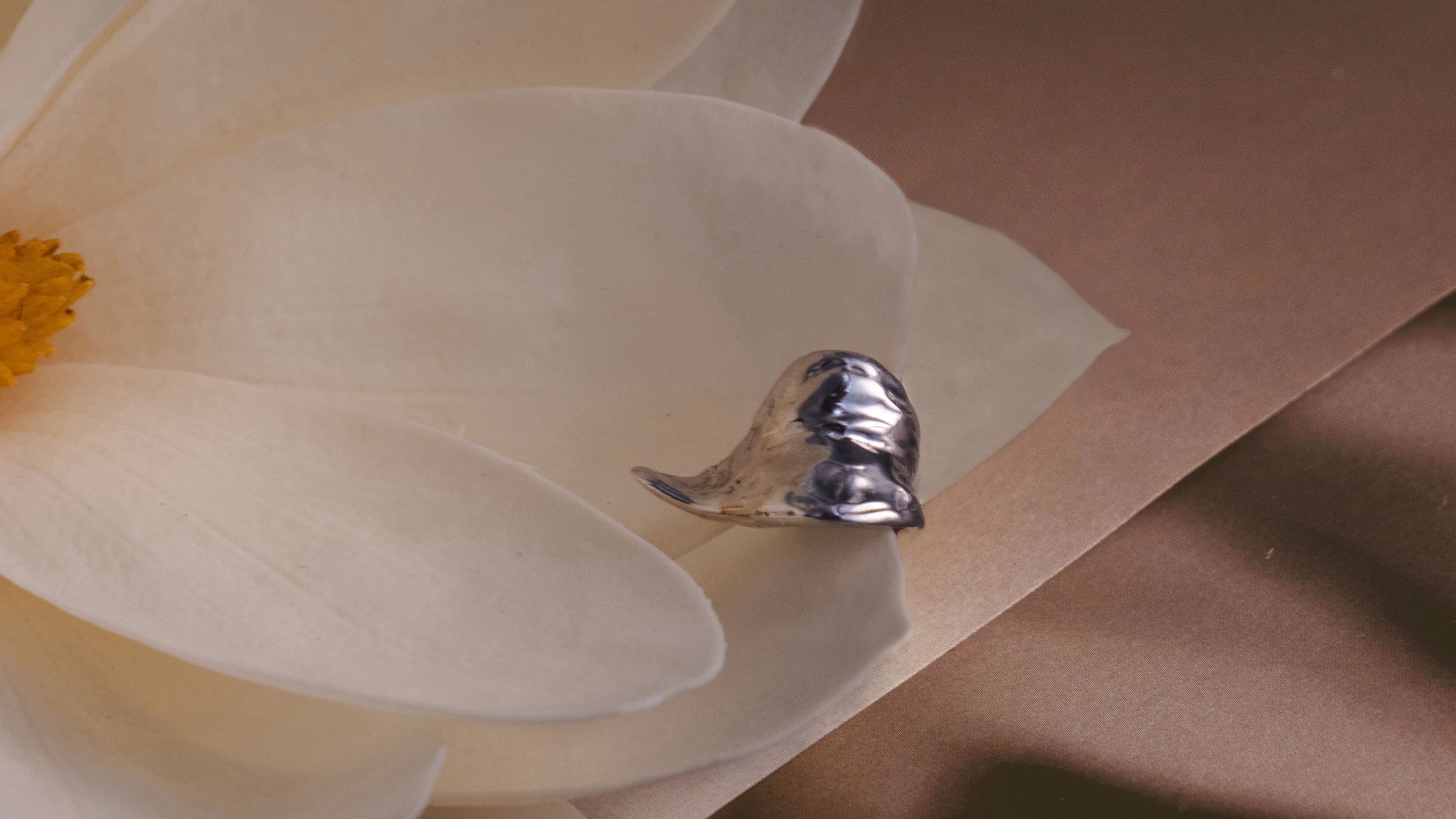Silver ear cuff placed on a magnoilia flower