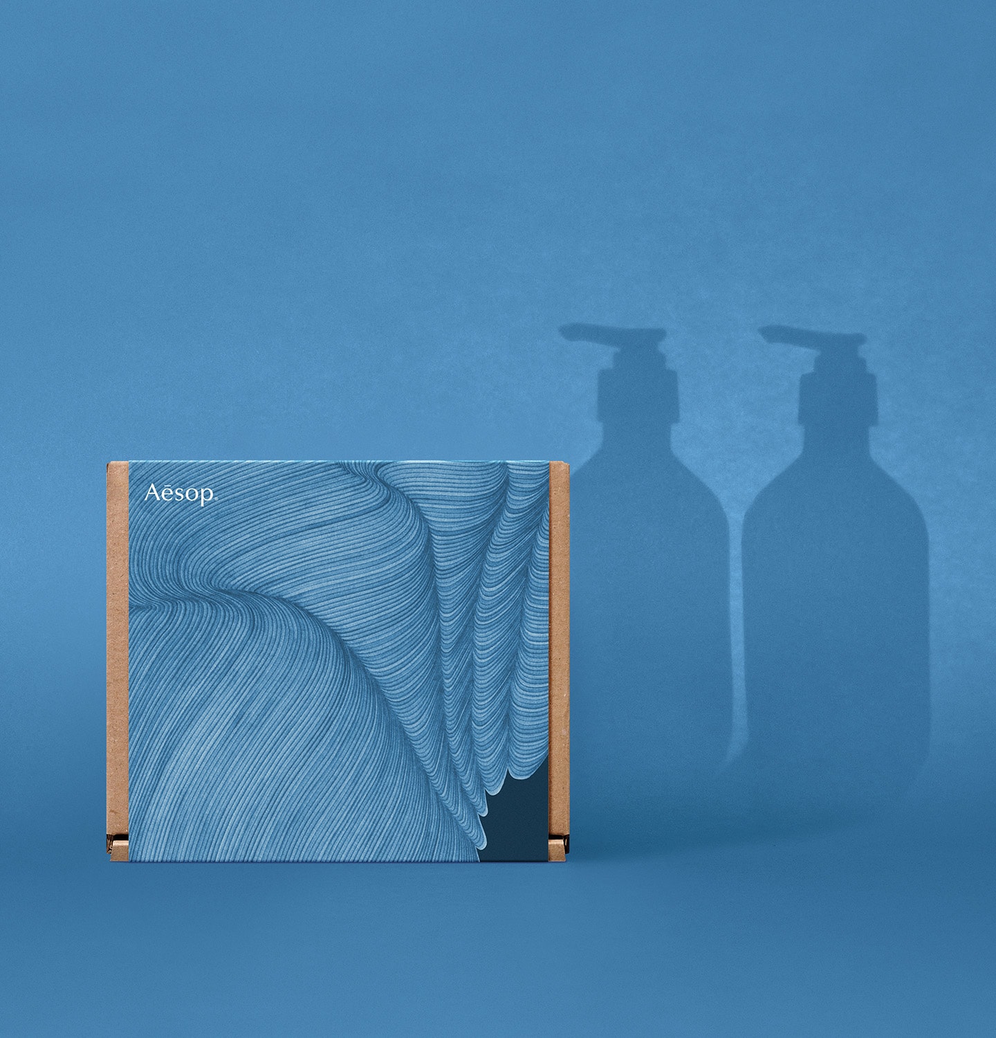 Aesop gratitude sleeve with product silhouette at the background