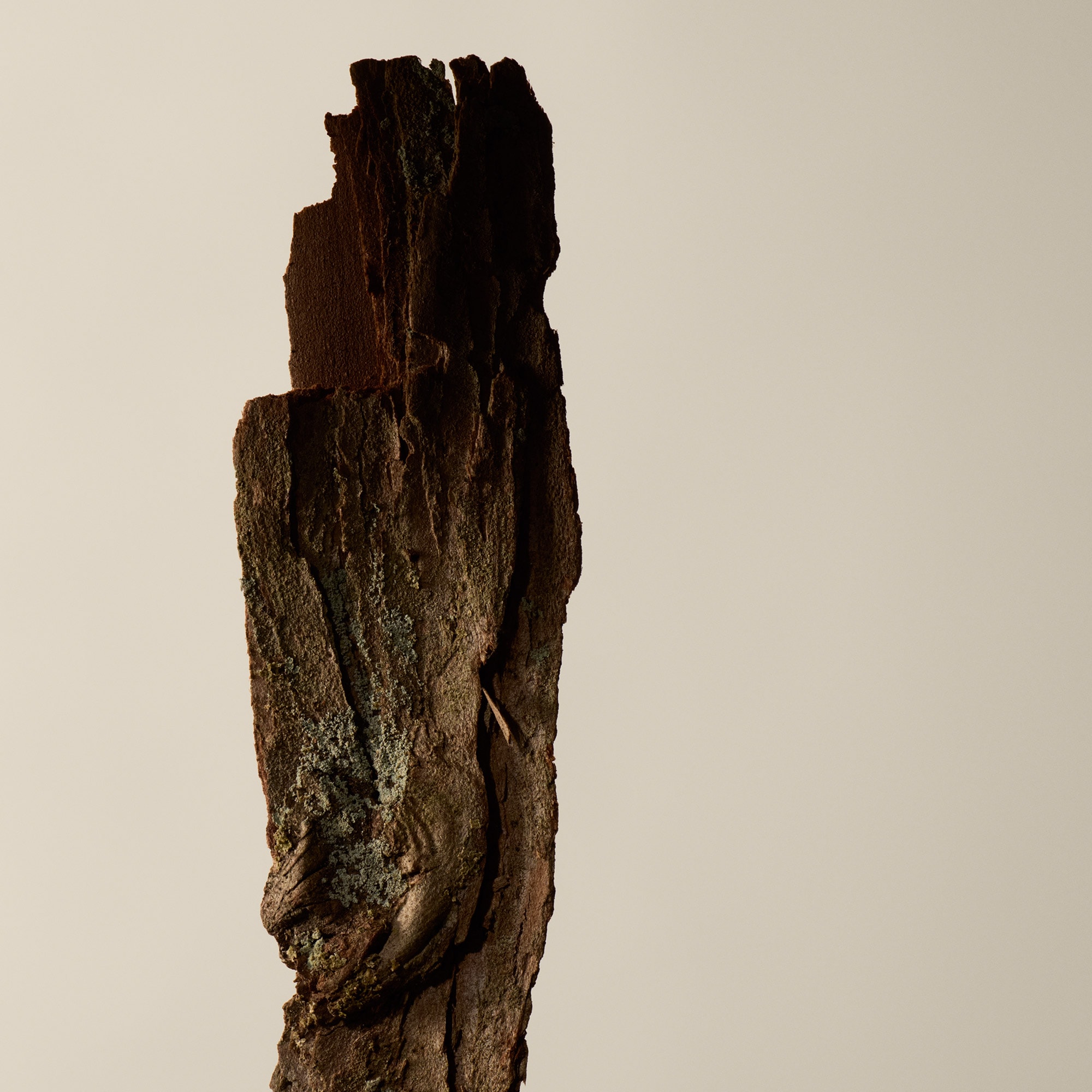 Murasaki Aromatique Incense | Incense Sticks | Aesop Denmark